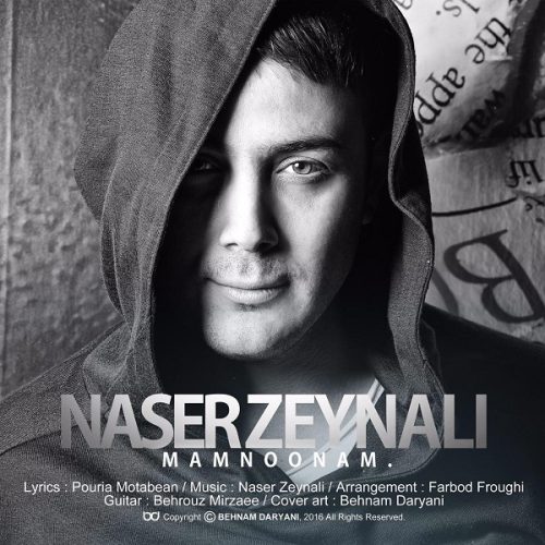 دانلود آهنگ جدید ناصر زینلی با عنوان ممنونم